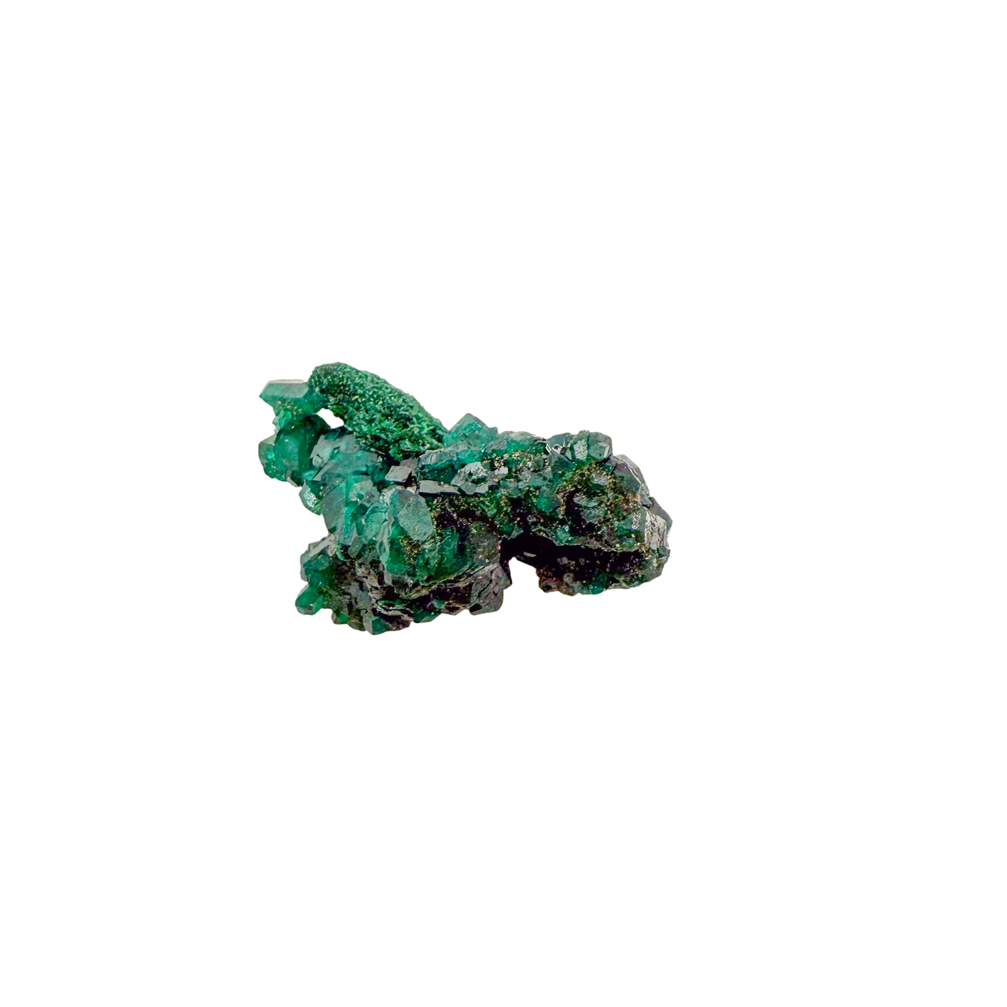 Raw dioptase crystal specimen from the Republic of the Congo, deep emerald-green druzy on matrix, specimen 7, view 1