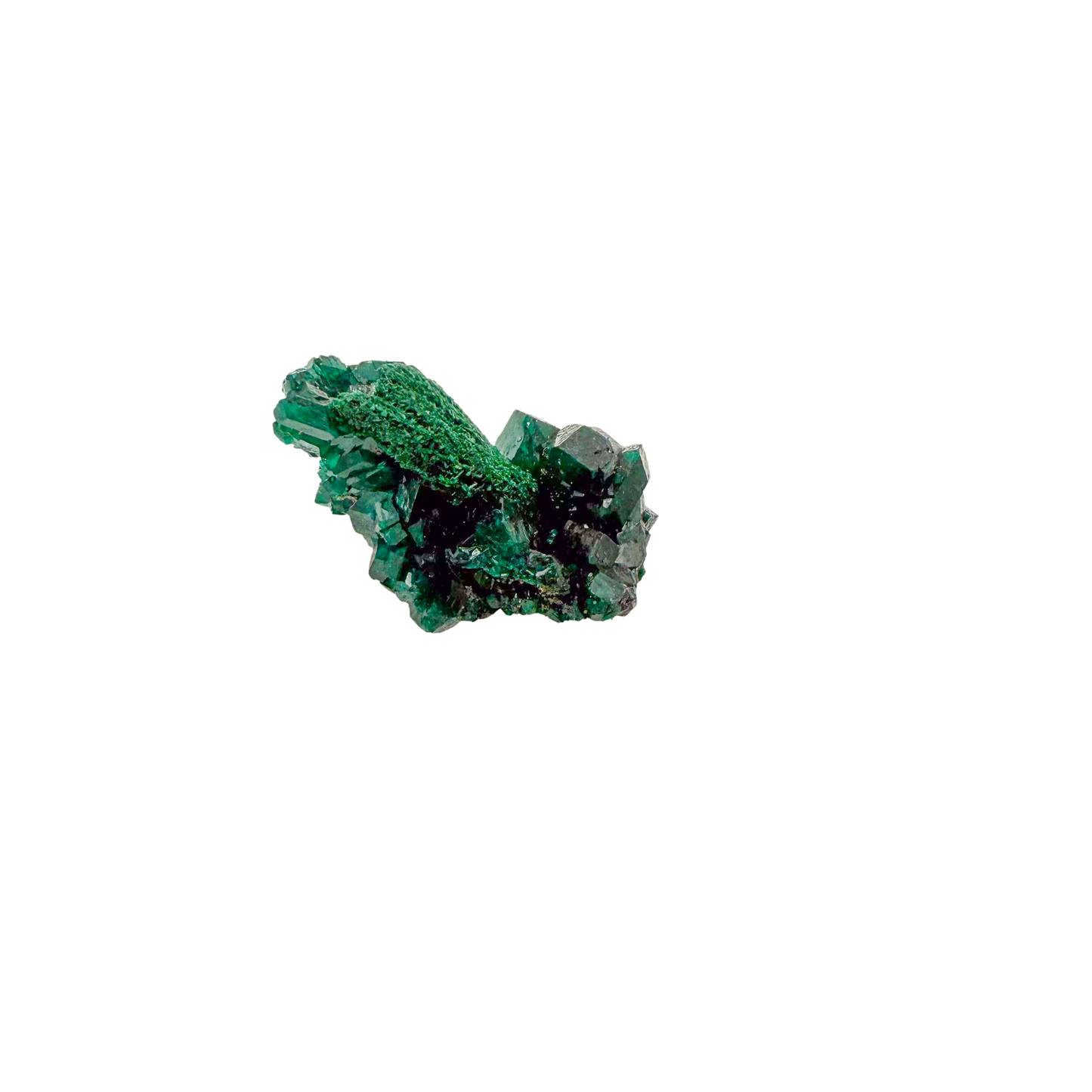 Raw dioptase crystal specimen from the Republic of the Congo, deep emerald-green druzy on matrix, specimen 7, view 2
