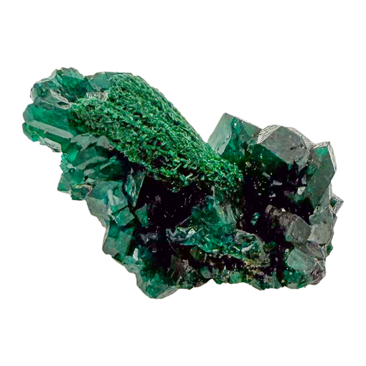 Raw dioptase crystal specimen from the Republic of the Congo, deep emerald-green druzy on matrix, specimen 7, view 2