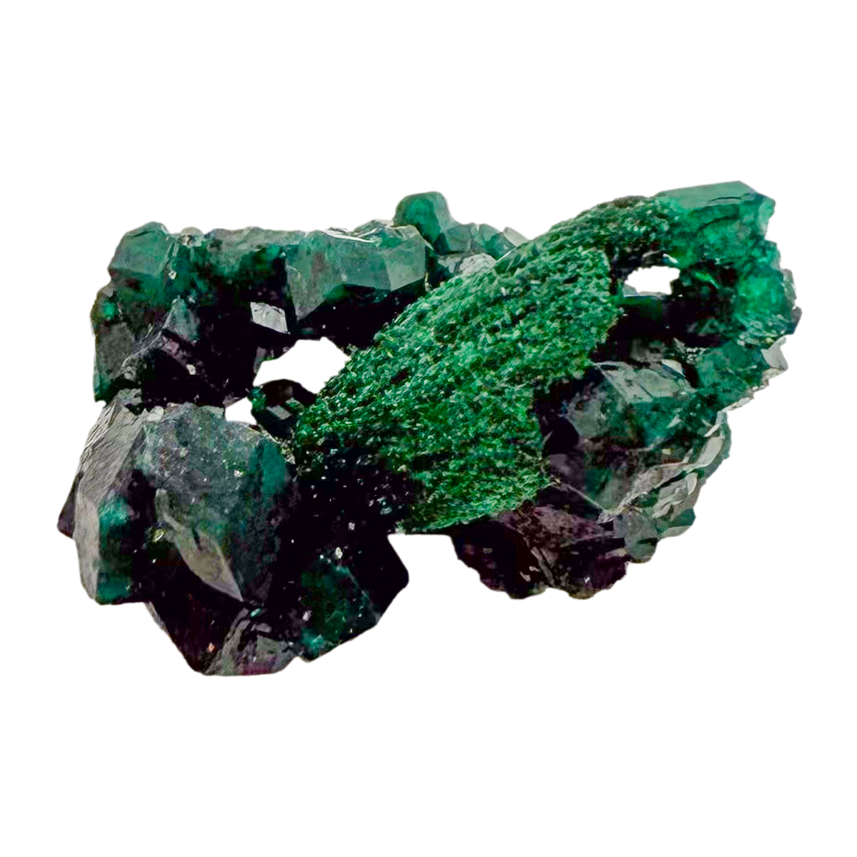 Raw dioptase crystal specimen from the Republic of the Congo, deep emerald-green druzy on matrix, specimen 7, view 3