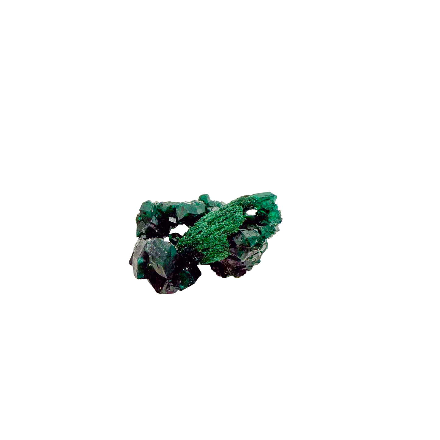 Raw dioptase crystal specimen from the Republic of the Congo, deep emerald-green druzy on matrix, specimen 7, view 3