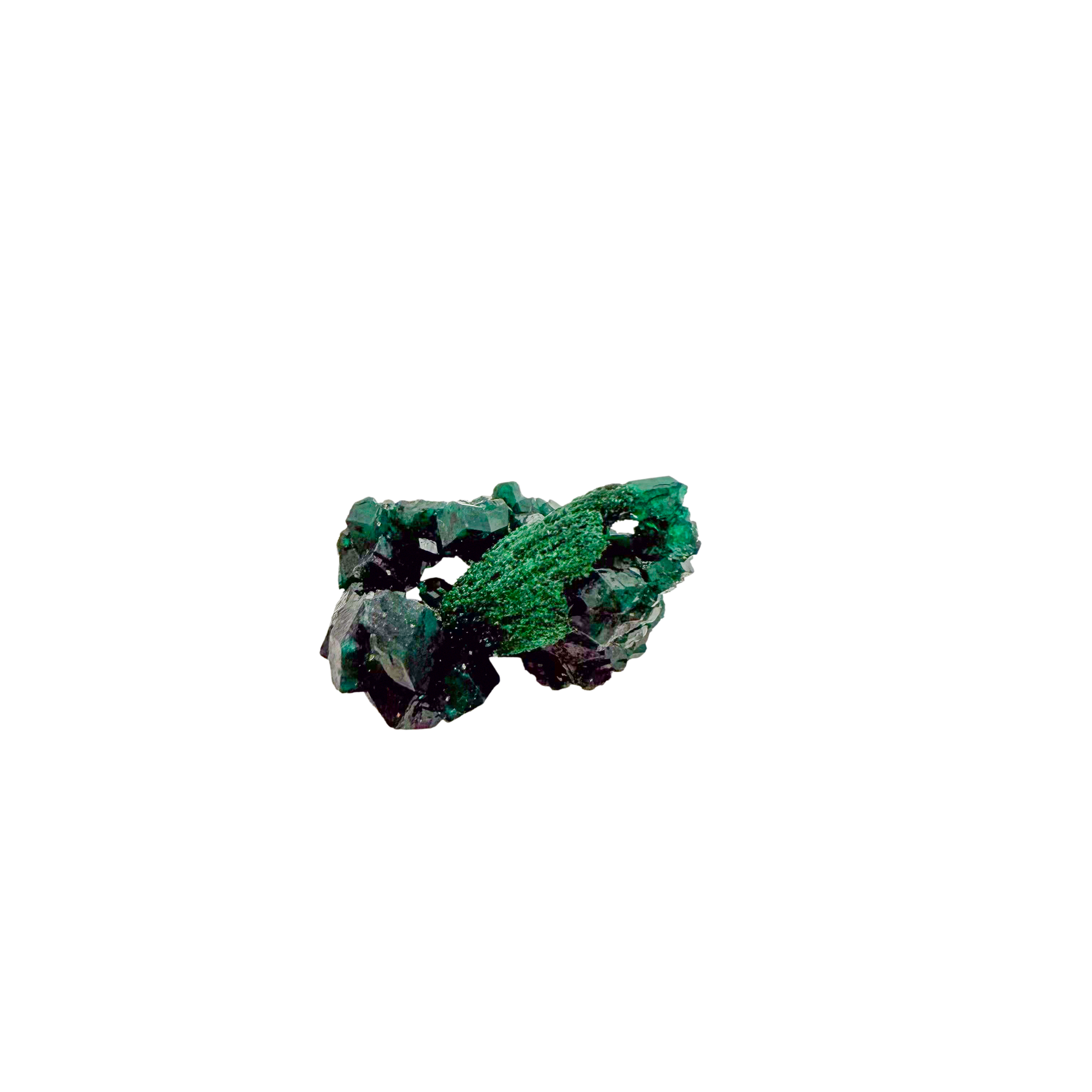 Raw dioptase crystal specimen from the Republic of the Congo, deep emerald-green druzy on matrix, specimen 7, view 3
