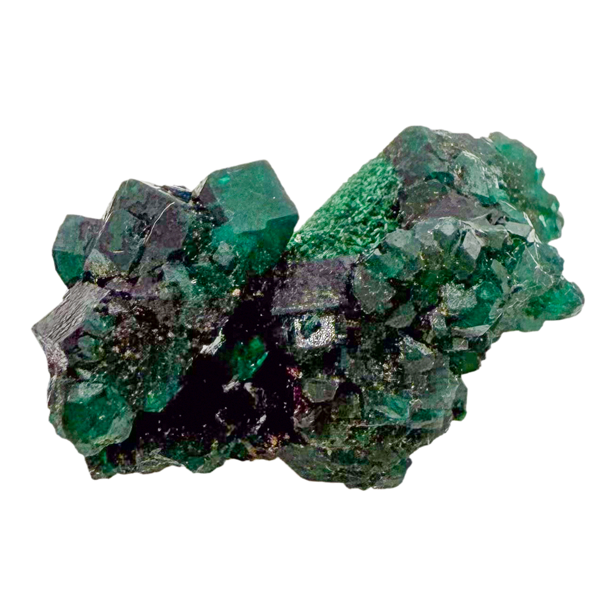 Raw dioptase crystal specimen from the Republic of the Congo, deep emerald-green druzy on matrix, specimen 7, view 4
