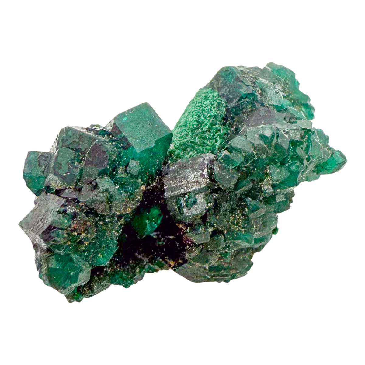 Raw dioptase crystal specimen from the Republic of the Congo, deep emerald-green druzy on matrix, specimen 7, view 5