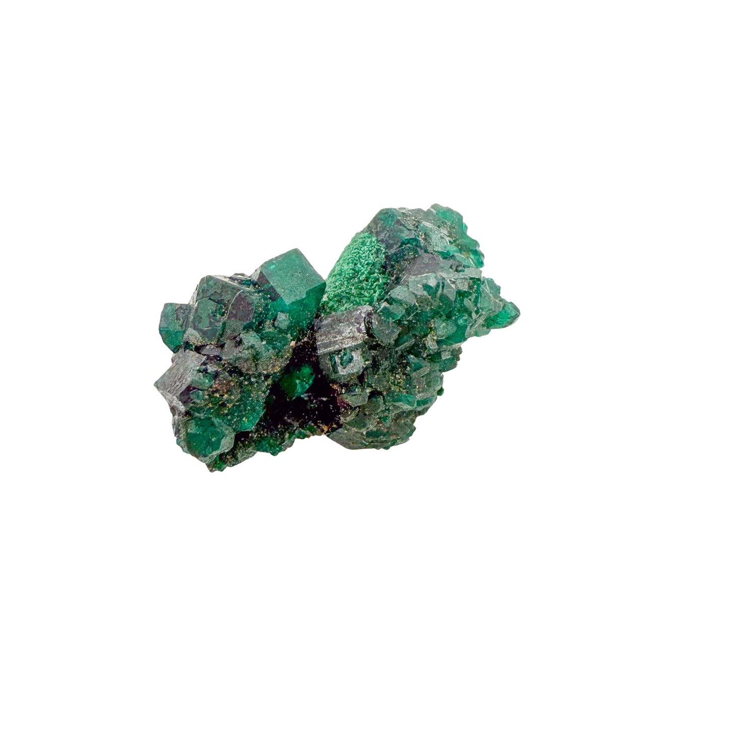Raw dioptase crystal specimen from the Republic of the Congo, deep emerald-green druzy on matrix, specimen 7, view 5