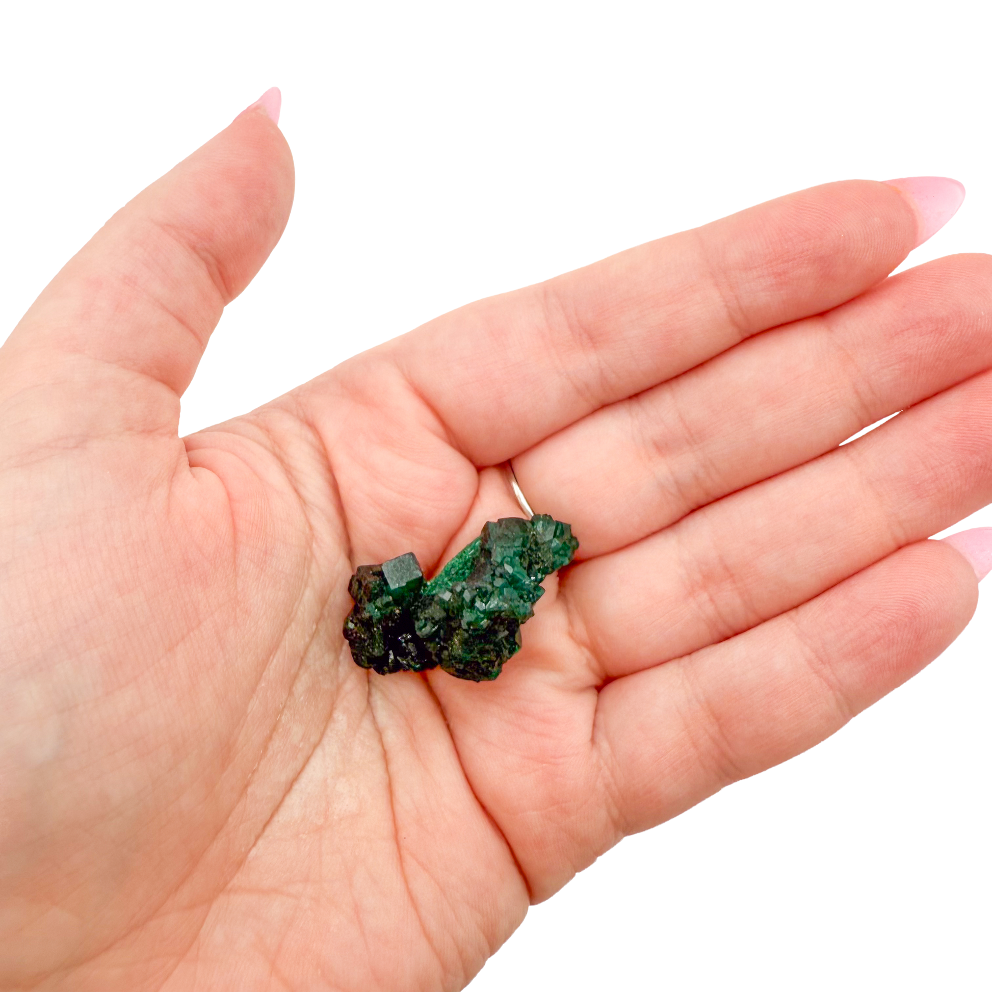 Dioptase crystal specimen from the Republic of the Congo held in hand for scale, deep emerald-green druzy, specimen 7