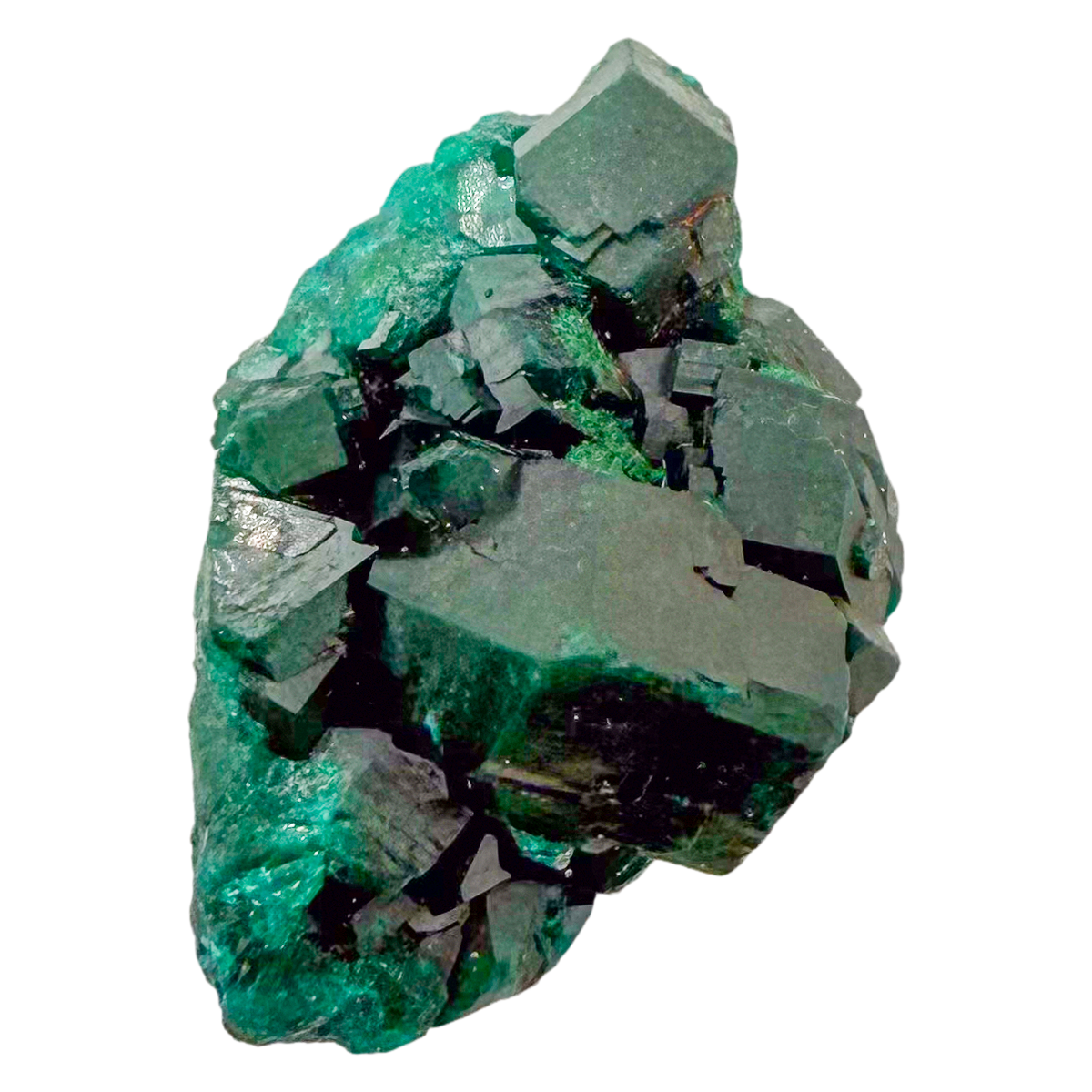 Raw dioptase crystal specimen from the Republic of the Congo, deep emerald-green druzy on matrix, specimen 8, view 3