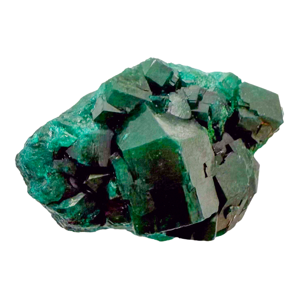 Raw dioptase crystal specimen from the Republic of the Congo, deep emerald-green druzy on matrix, specimen 8, view 4