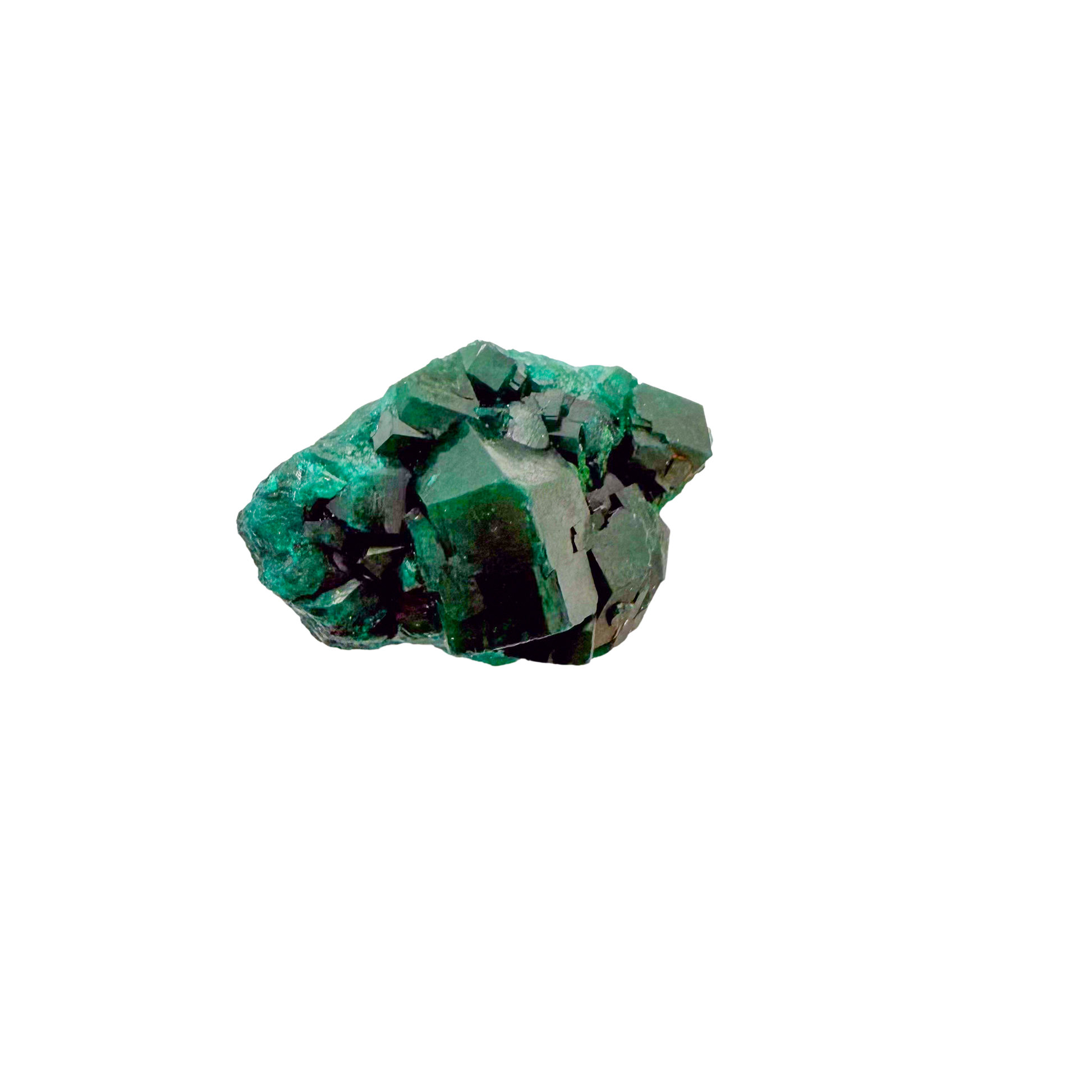 Raw dioptase crystal specimen from the Republic of the Congo, deep emerald-green druzy on matrix, specimen 8, view 4