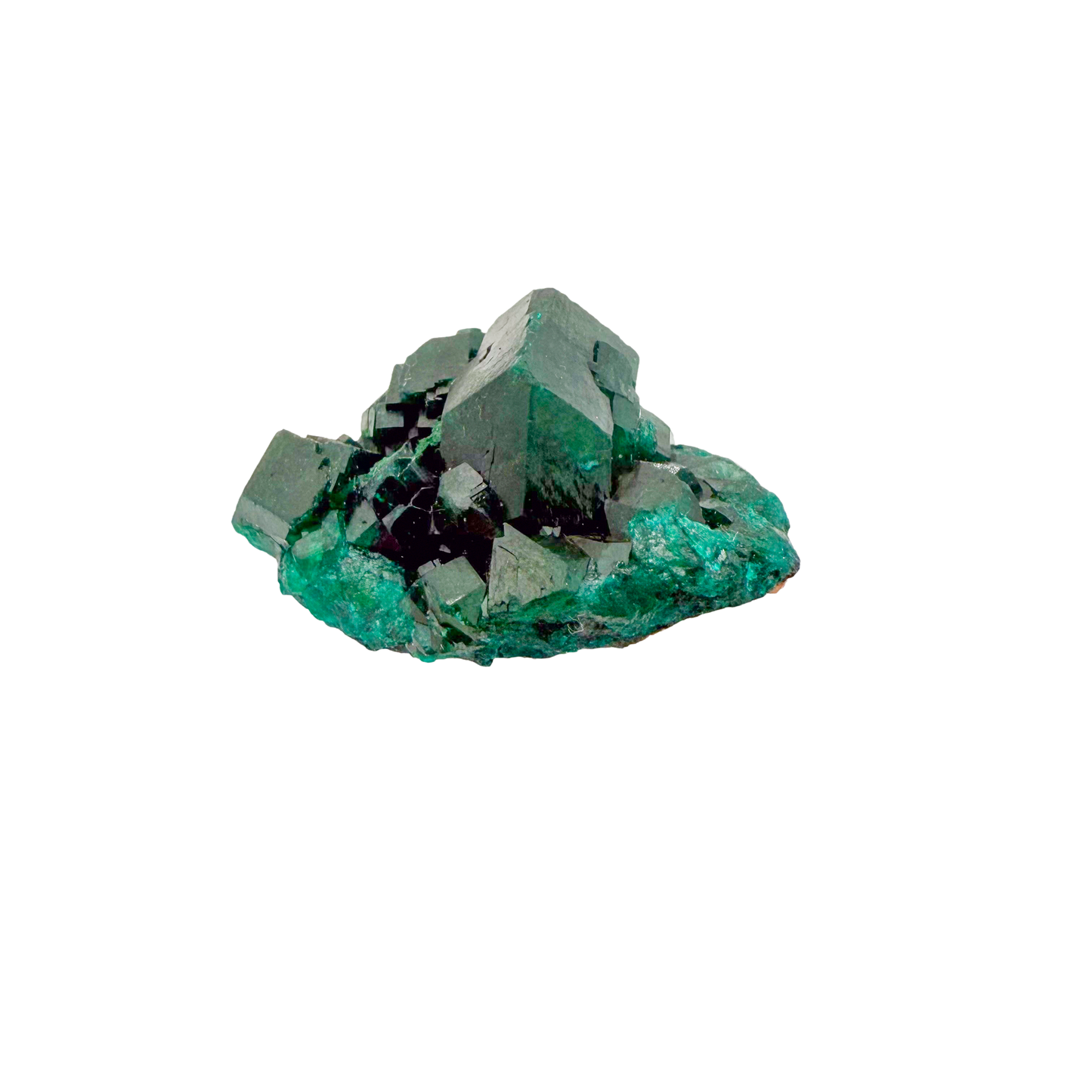 Raw dioptase crystal specimen from the Republic of the Congo, deep emerald-green druzy on matrix, specimen 8, view 5