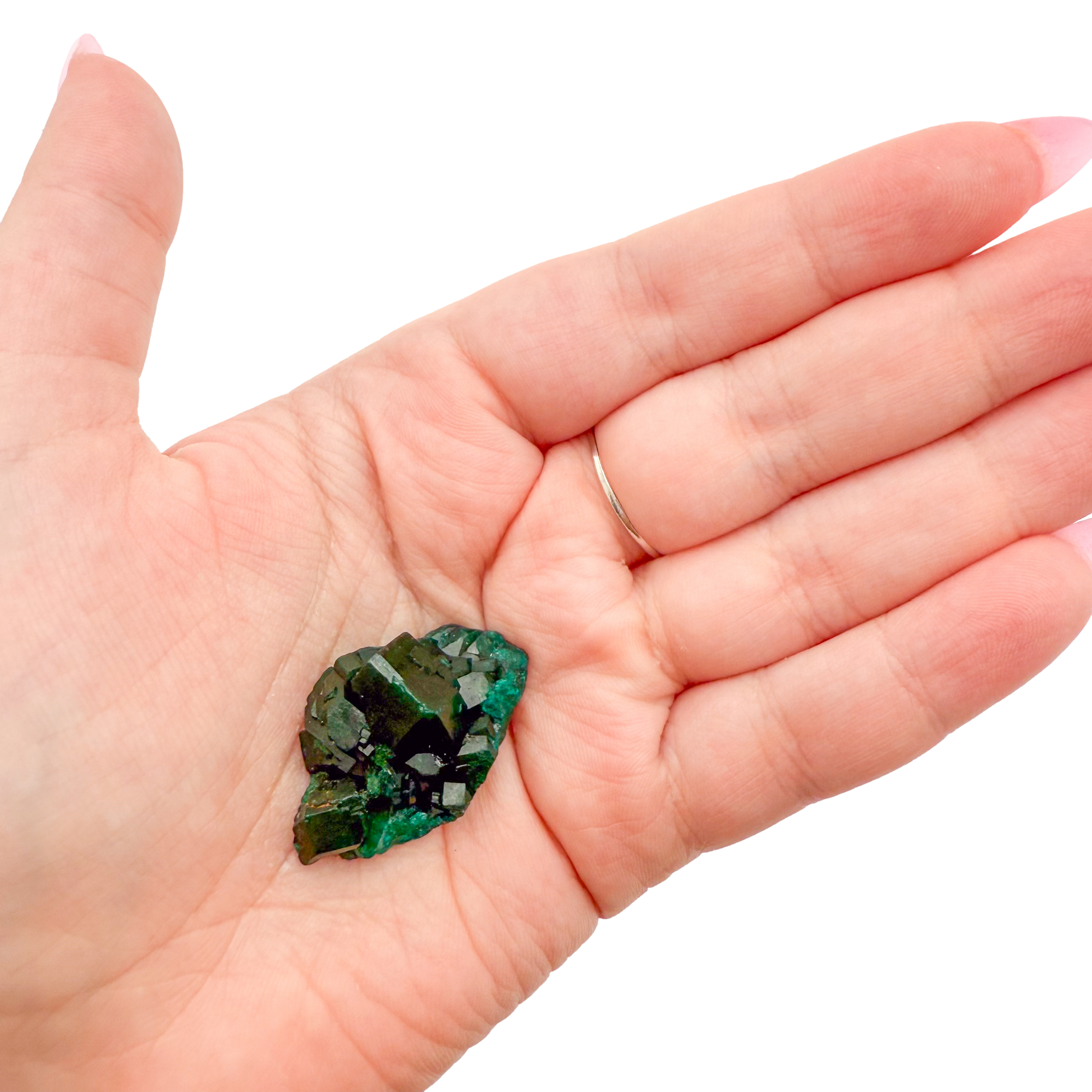 Dioptase crystal specimen from the Republic of the Congo held in hand for scale, deep emerald-green druzy, specimen 8