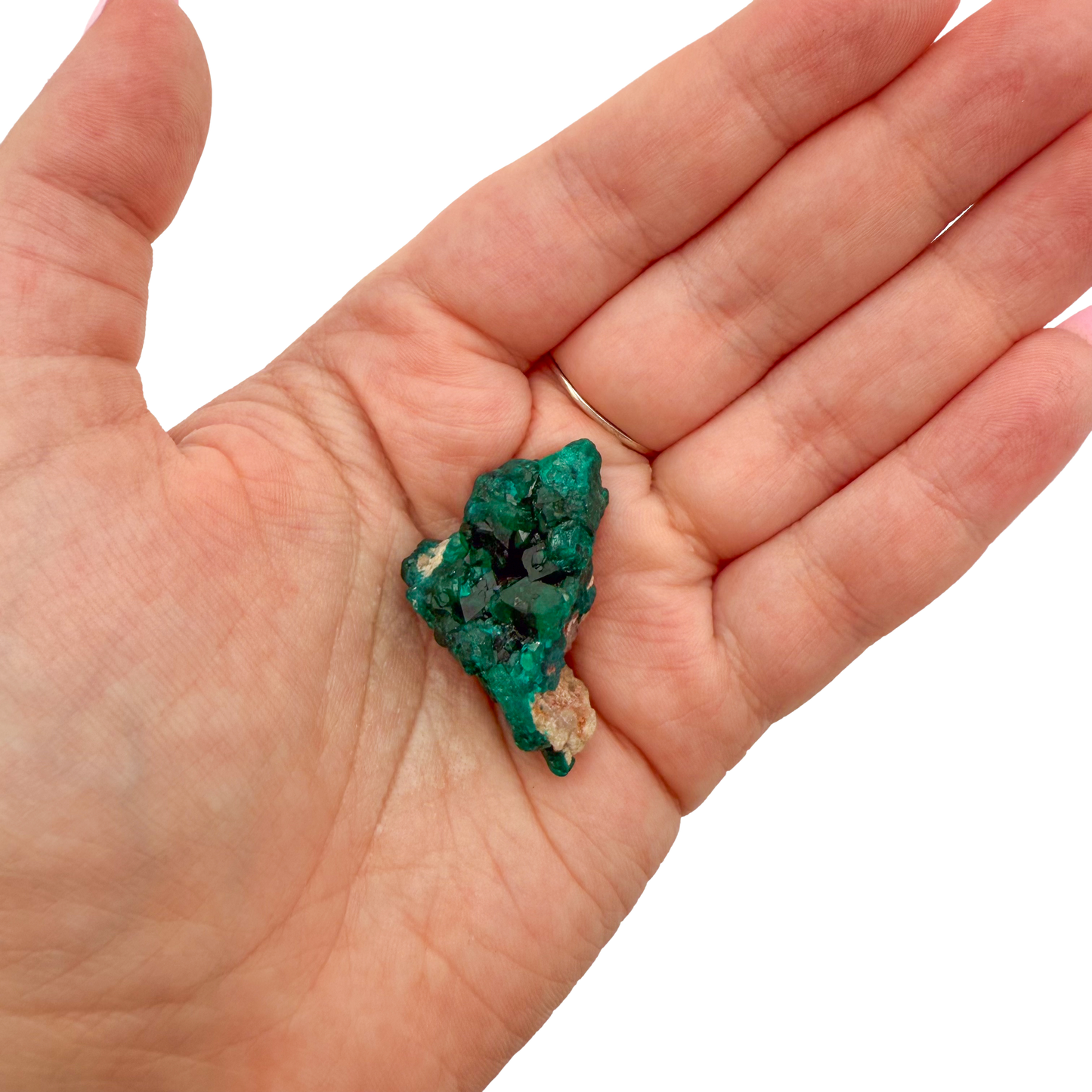 Dioptase crystal specimen from the Republic of the Congo held in hand for scale, deep emerald-green druzy, specimen 9
