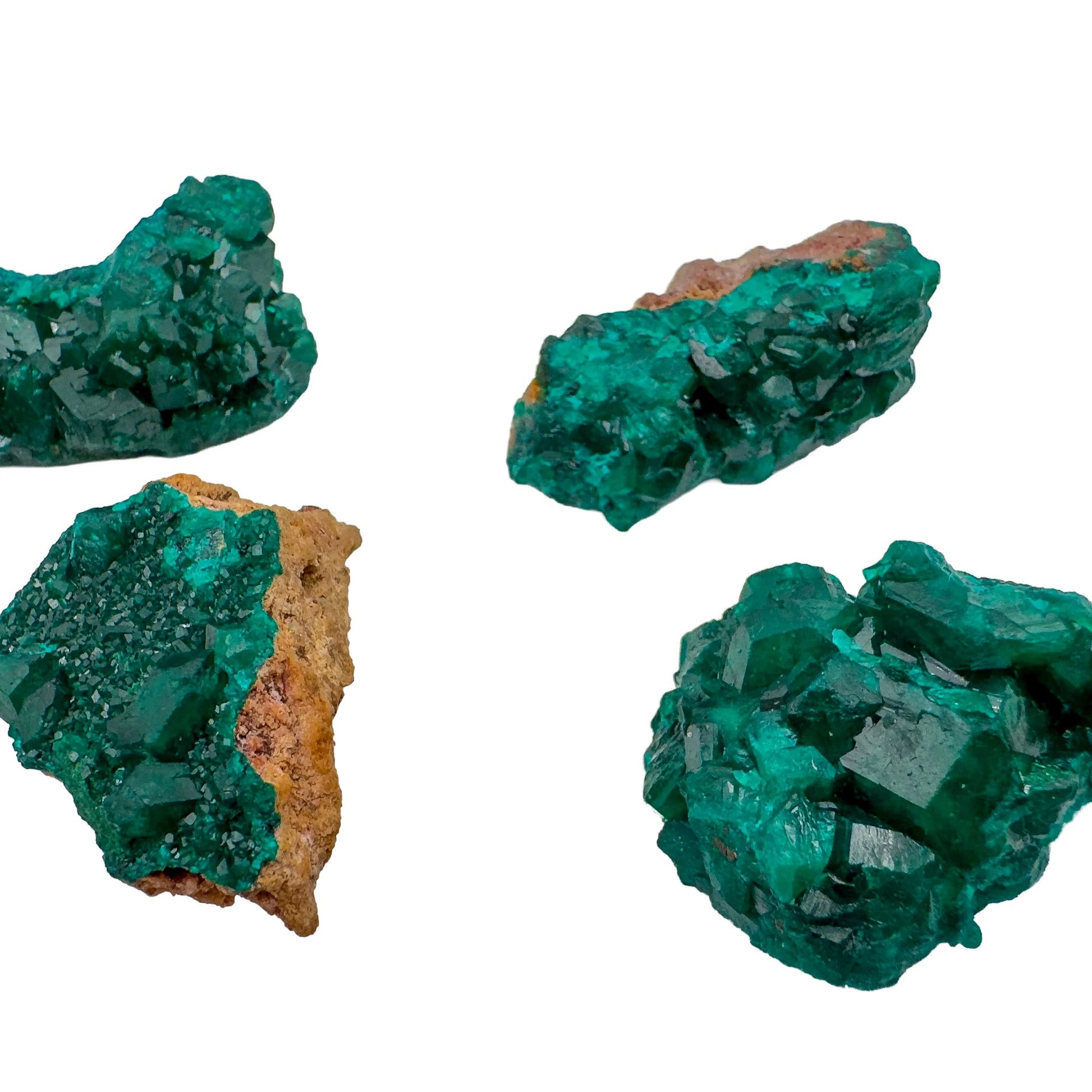 Palm-scale view of one Dioptase raw stone for scale, from Republic of the Congo.