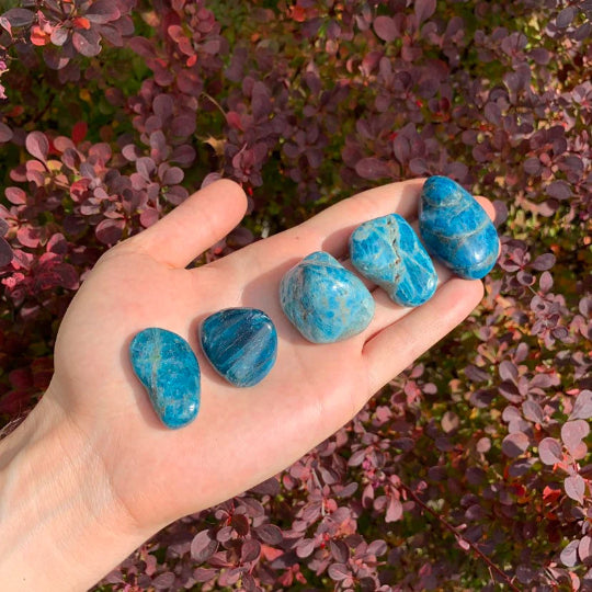 Detail shot of Grade AA Apatite tumbled stone under natural light