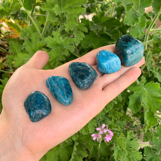 Full profile of Grade AA Apatite tumbled stone ready to ship from Beyond Bohemian