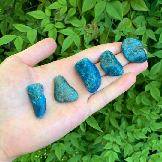 Full profile of Grade AA Apatite tumbled stone ready to ship from Beyond Bohemian