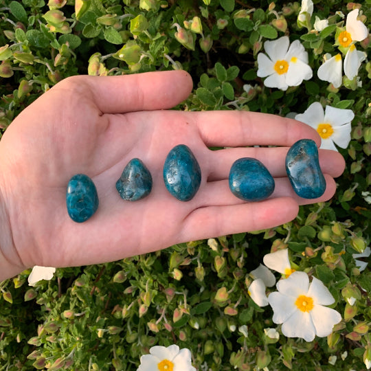 Full profile of Grade AA Apatite tumbled stone ready to ship from Beyond Bohemian