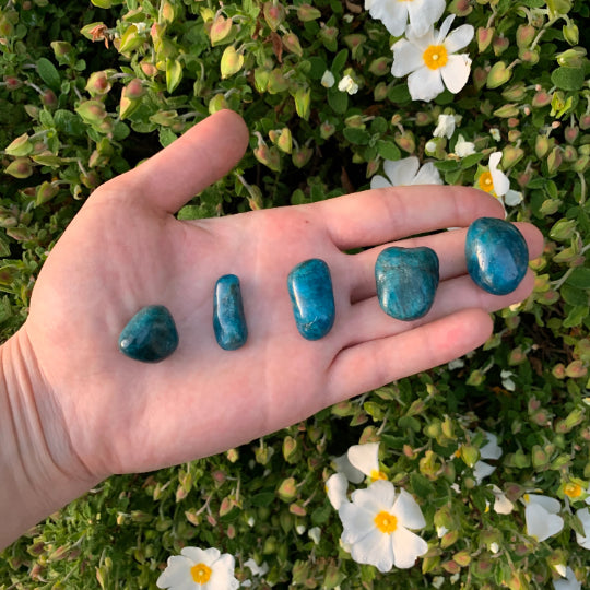 Full profile of Grade AA Apatite tumbled stone ready to ship from Beyond Bohemian