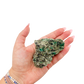 Raw emerald specimen from Zimbabwe held in hand to show scale