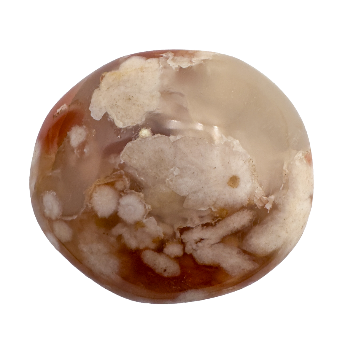 Detail view of AA Grade Flower Agate palm stone from Madagascar