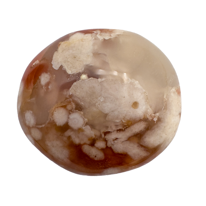 Flower Agate Palm Stones | AA Grade | Madagascar | 1.50–3 Inch