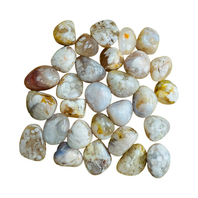 Flower Agate Palm Stones for Emotional Healing, Grounding & Love — pink smooth polished, AA grade directly from Madagascar