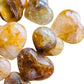 Scale comparison of Golden Healer stone, with form visible in context.