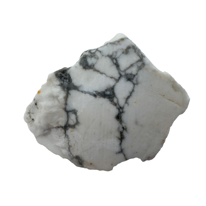 Howlite Magnesite Raw Stones, A Grade, Brazil: one raw piece on a white background, chalk white with branching gray veins