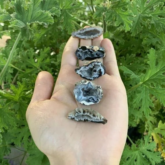 Full profile of Grade AA Agate geode ready to ship from Beyond Bohemian