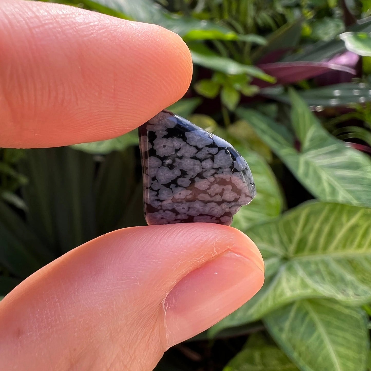Top angle of black Snowflake Obsidian tumbled stone, kept near for Grounding and Emotional Healing.