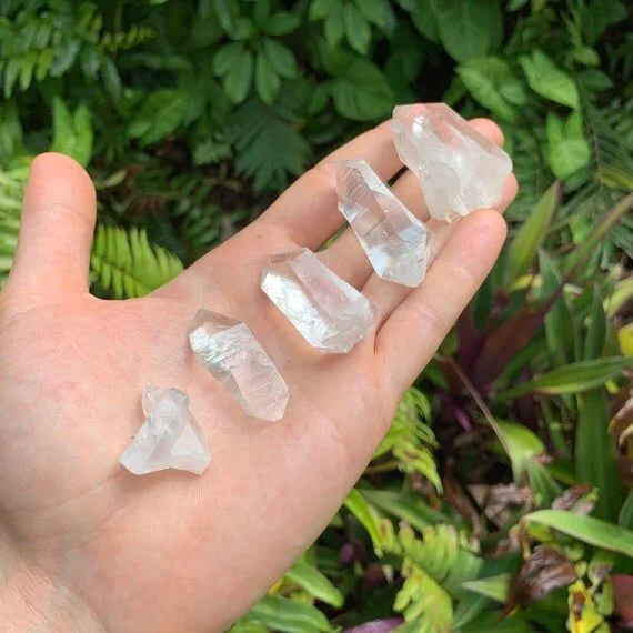Detail shot of Grade AA Clear Quartz point under natural light