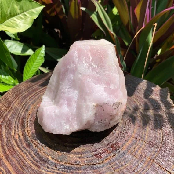 Natural light view of a Rose Quartz specimen held against natural backdrop, hand-selected from Alaotra-Mangoro, Madagascar.