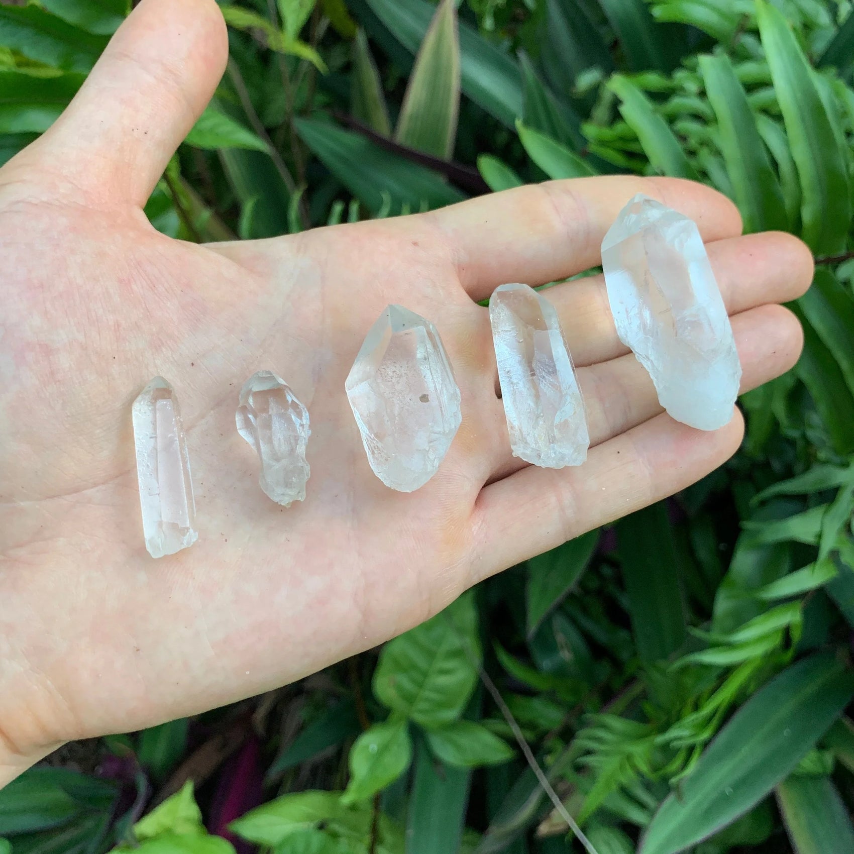 Full profile of Grade AA Clear Quartz point ready to ship from Beyond Bohemian