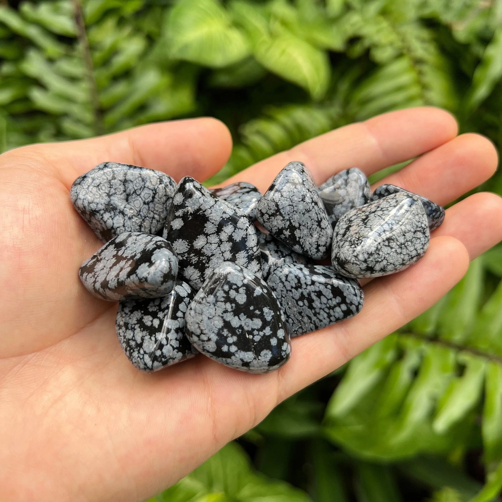 Snowflake Obsidian tumbled stones, Black, White stones for Emotional Healing