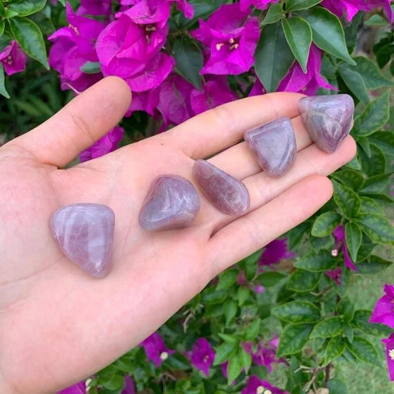 Close-up of Blue Rose Quartz tumbled stone, showing translucent edges, drawn on for Stress Relief and Emotional Healing.