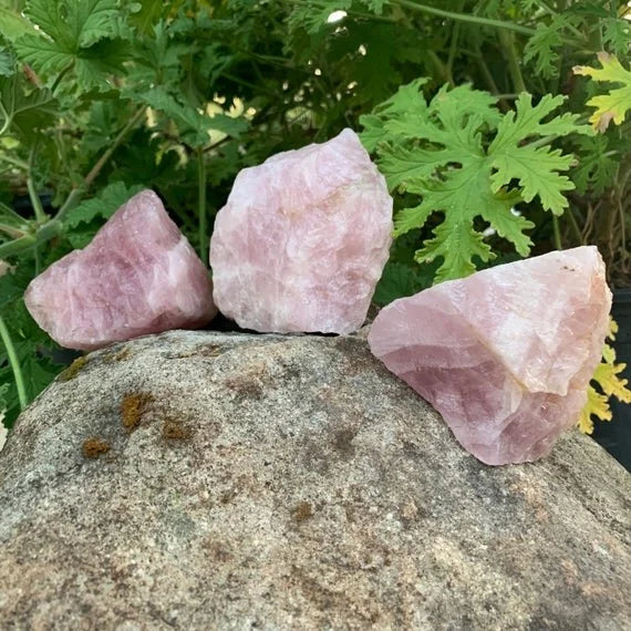 Display context of Rose Quartz raw crystal, associated with Stress Relief, shown in a calm studio setting.