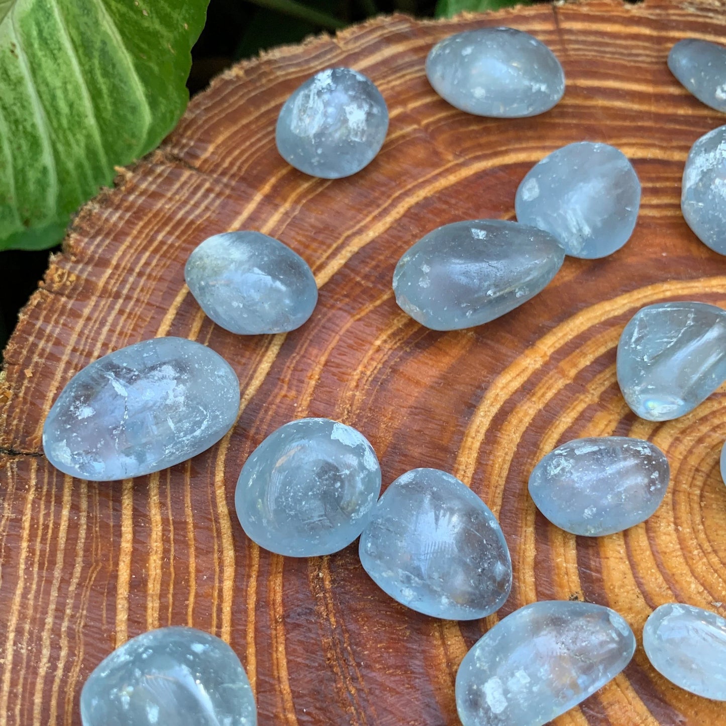 Full profile of Grade AA Celestite tumbled stone ready to ship from Beyond Bohemian