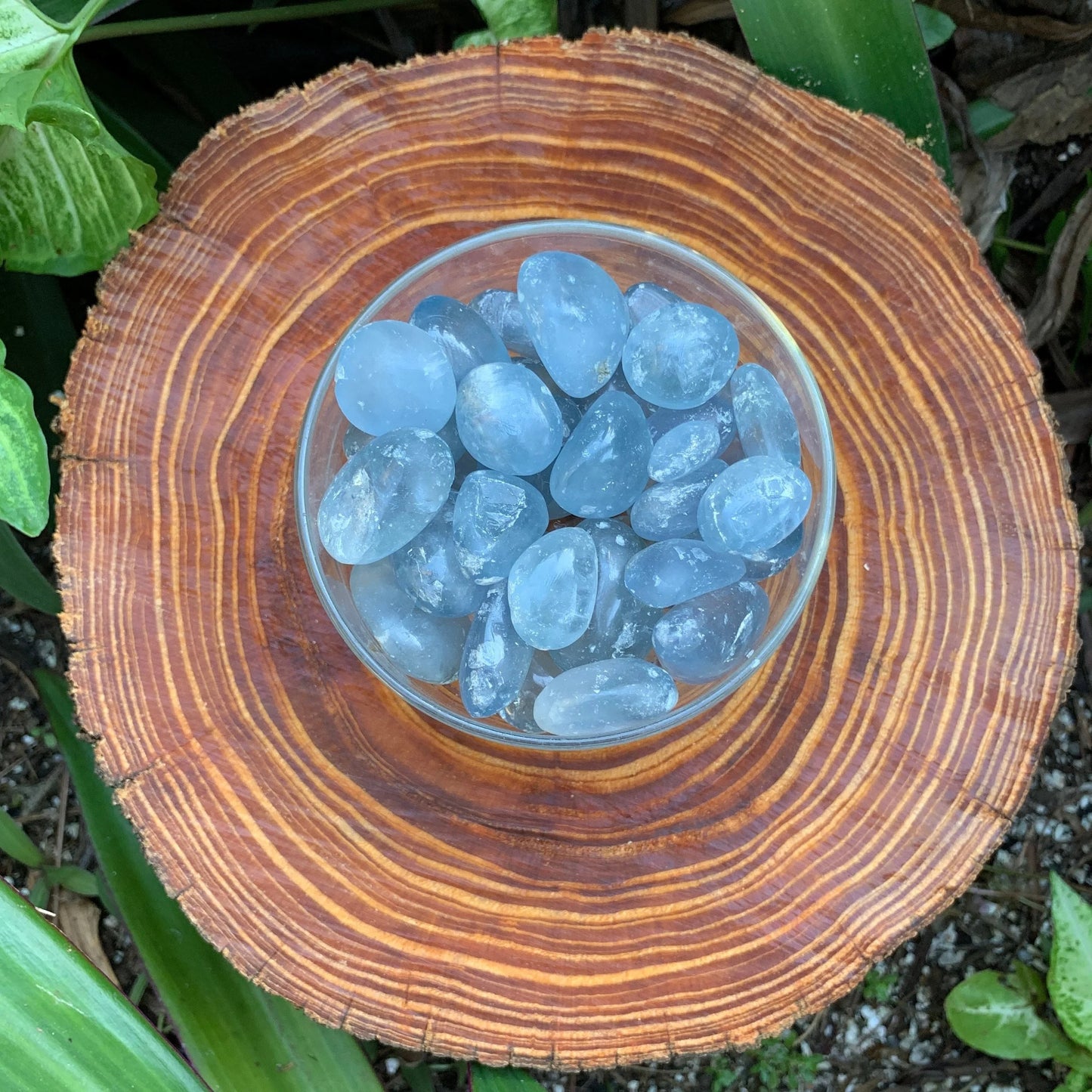 Full piece view of Celestite tumbled stone, from Sakoany, Madagascar, with weight visible in the palm.
