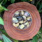 Detail shot showing Septarian tumbled stone, showing characteristic finish, Madagascar-sourced.