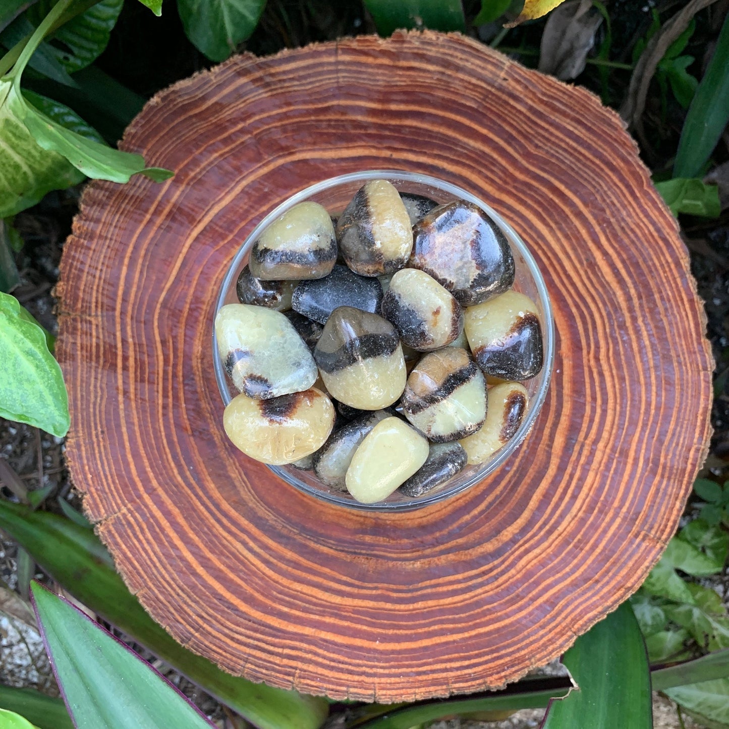 Detail shot showing Septarian tumbled stone, showing characteristic finish, Madagascar-sourced.