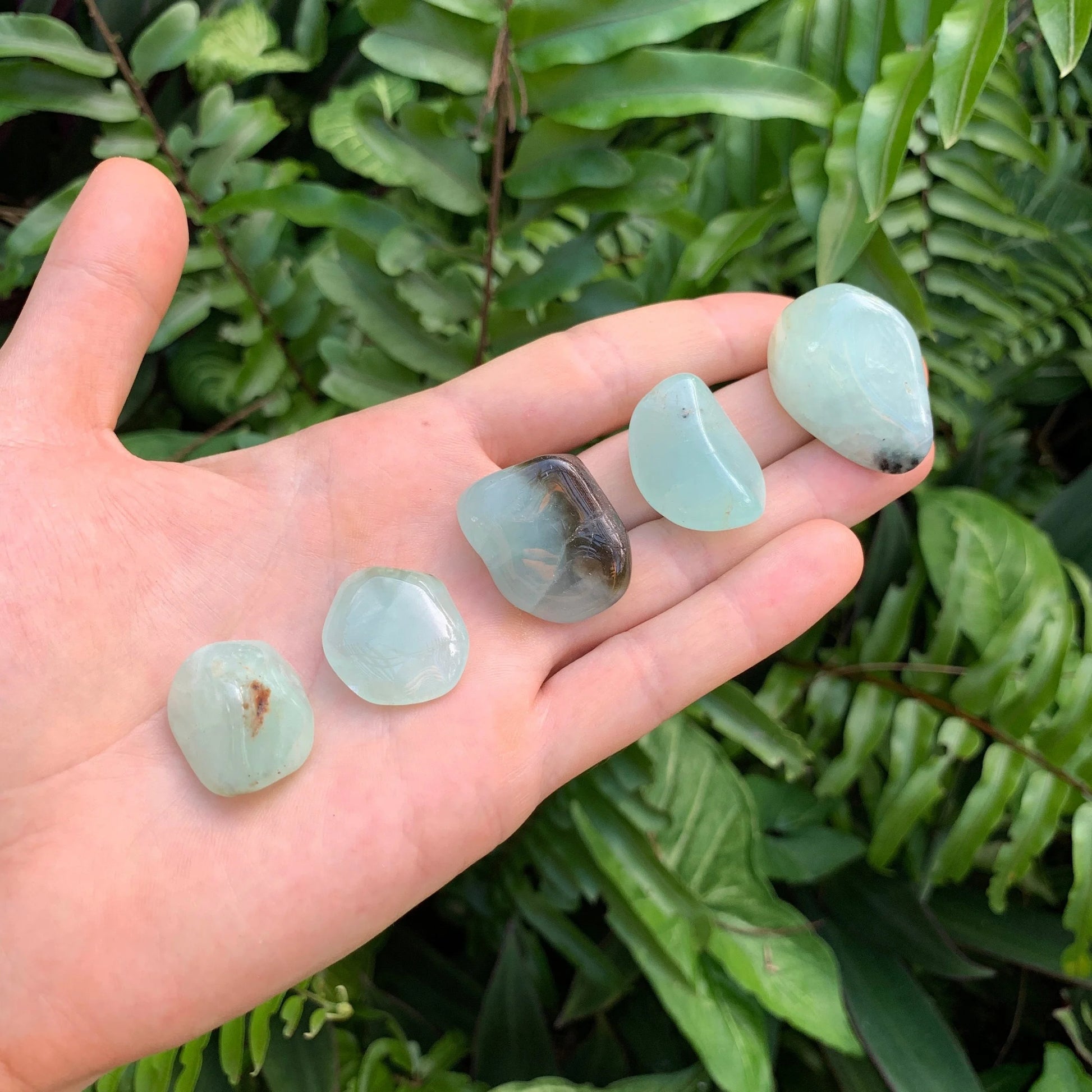 Full profile of a Grade AA Prehnite tumbled stone, ethically sourced from Namibia by Beyond Bohemian