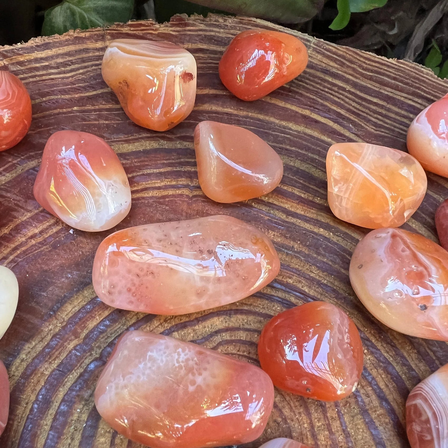 Reverse angle of Grade AA Carnelian tumbled stone, Botswana-sourced.