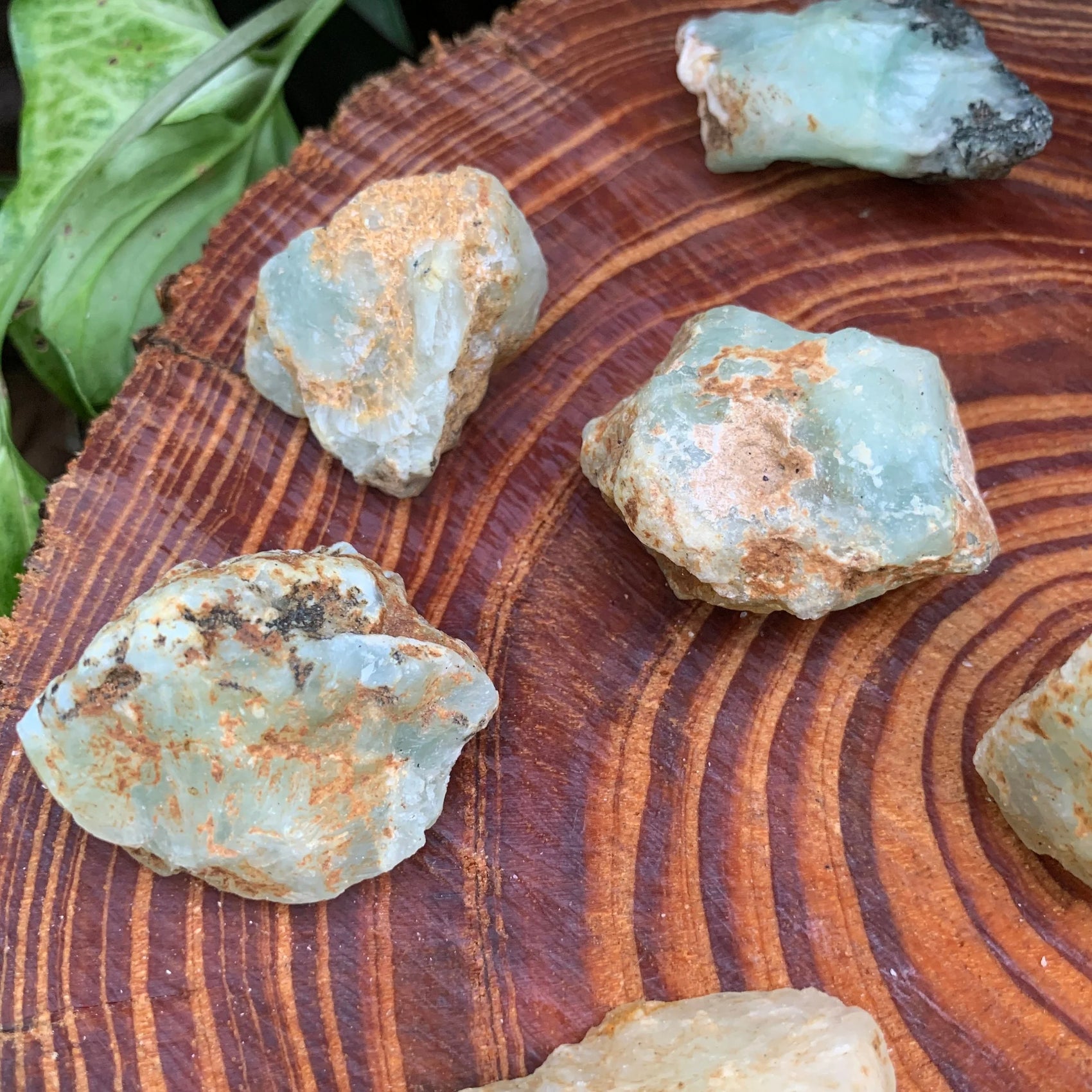 Handheld Prehnite raw stone from Namibia for meditation, Emotional Healing and Manifestation