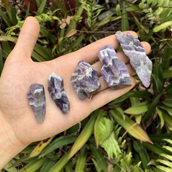 Back view of Grade AA Chevron Amethyst raw showing natural surface