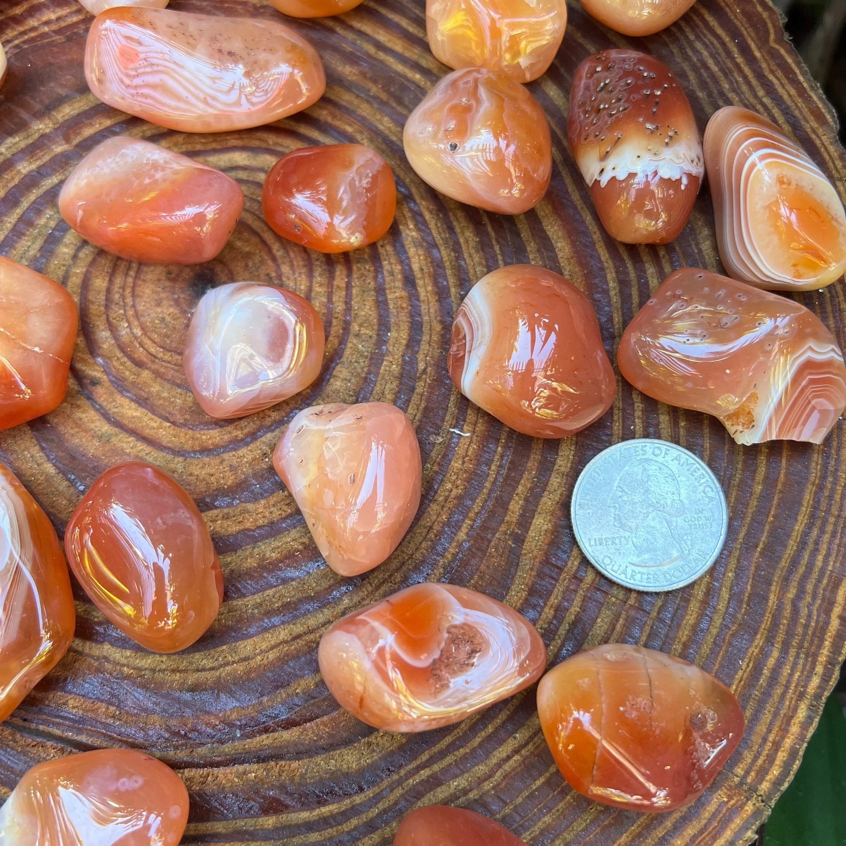 Side perspective of Carnelian tumbled stone, showing translucent edges, linked to Energy and Confidence.