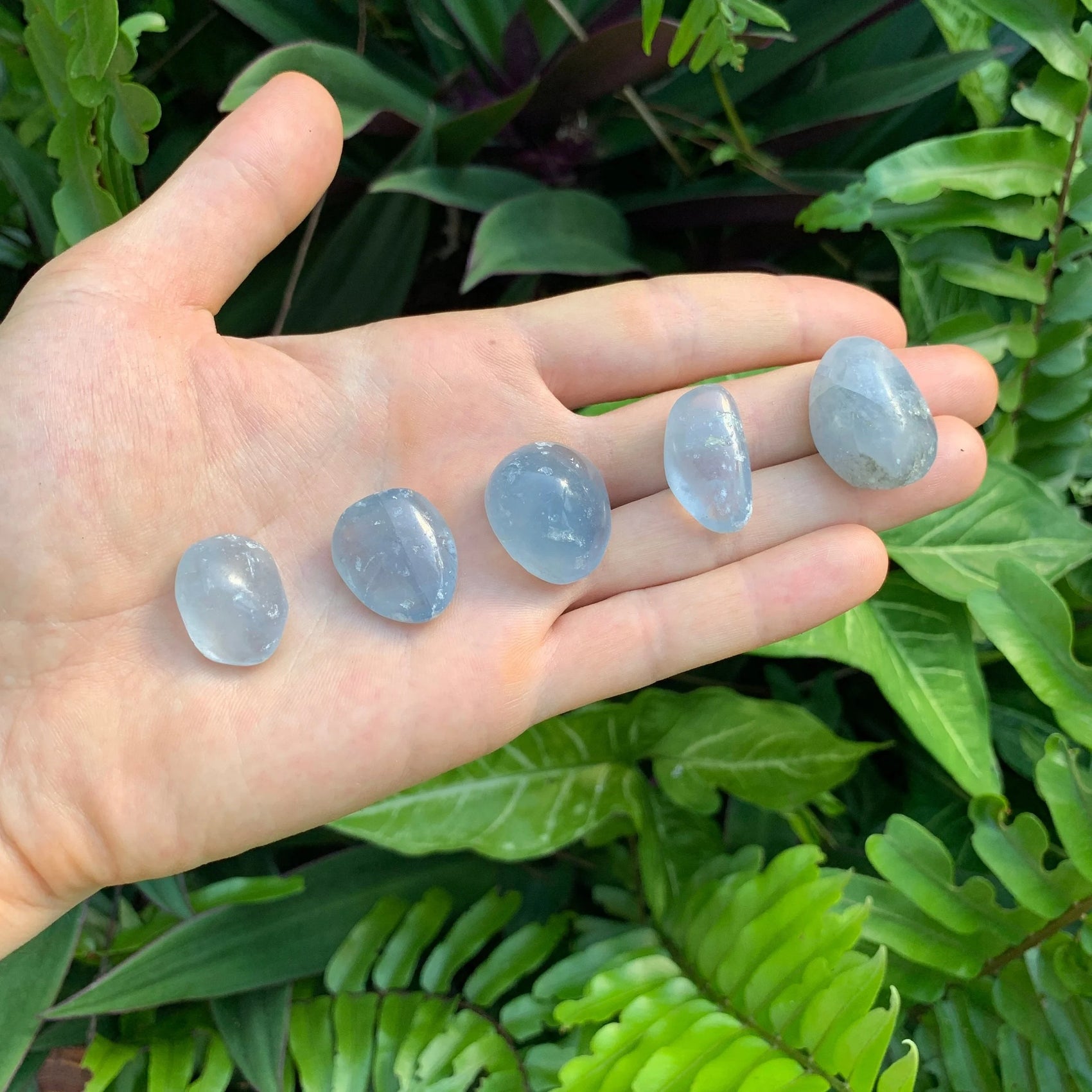 Full profile of Grade AA Celestite tumbled stone ready to ship from Beyond Bohemian