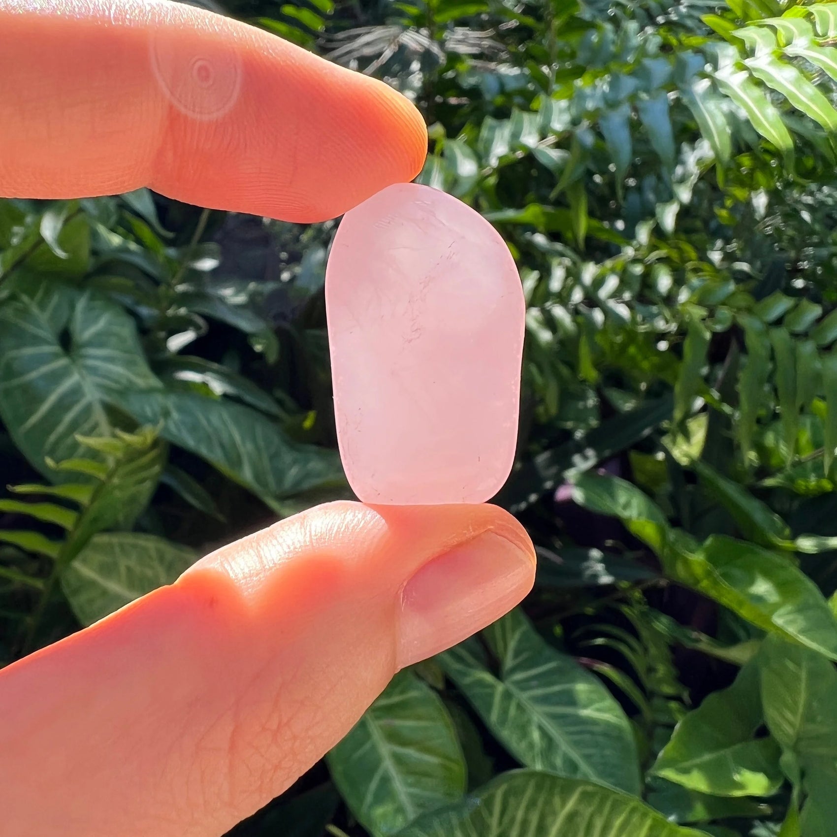 Close-up of Rose Quartz tumbled stone from Madagascar, soothing wellness stone for Emotional Healing