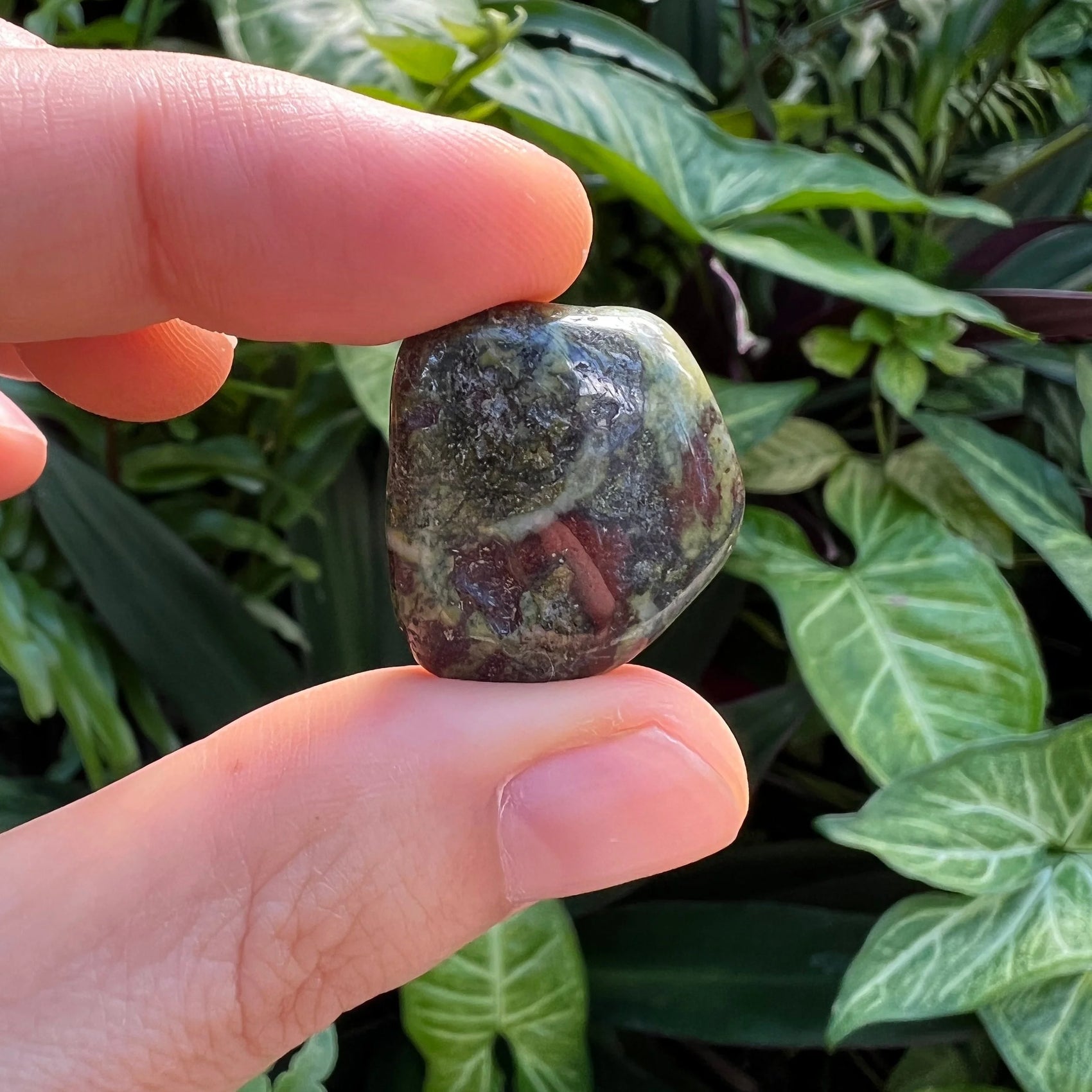 Close-up of Dragon Bloodstone tumbled stone from South Africa, soothing wellness stone for Energy