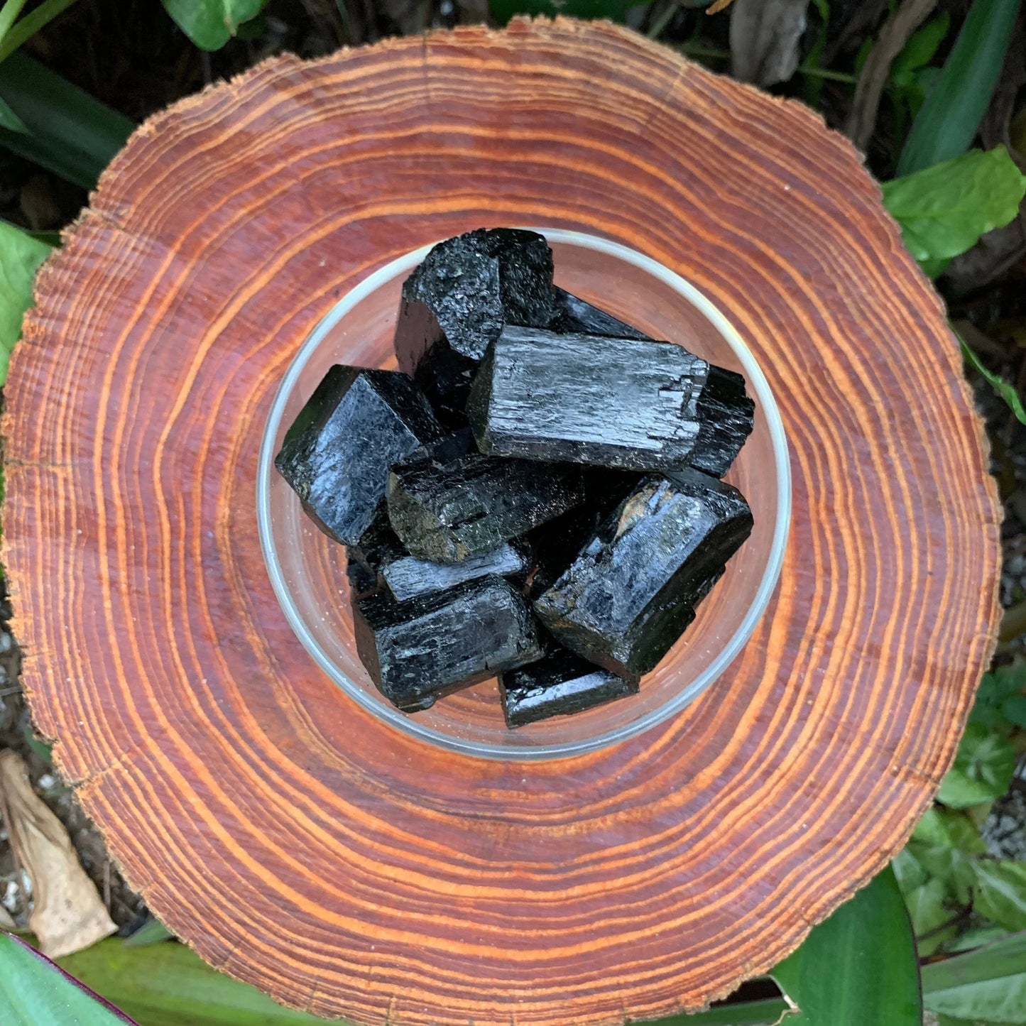 Grade aa black tourmaline raw held in hand for size reference