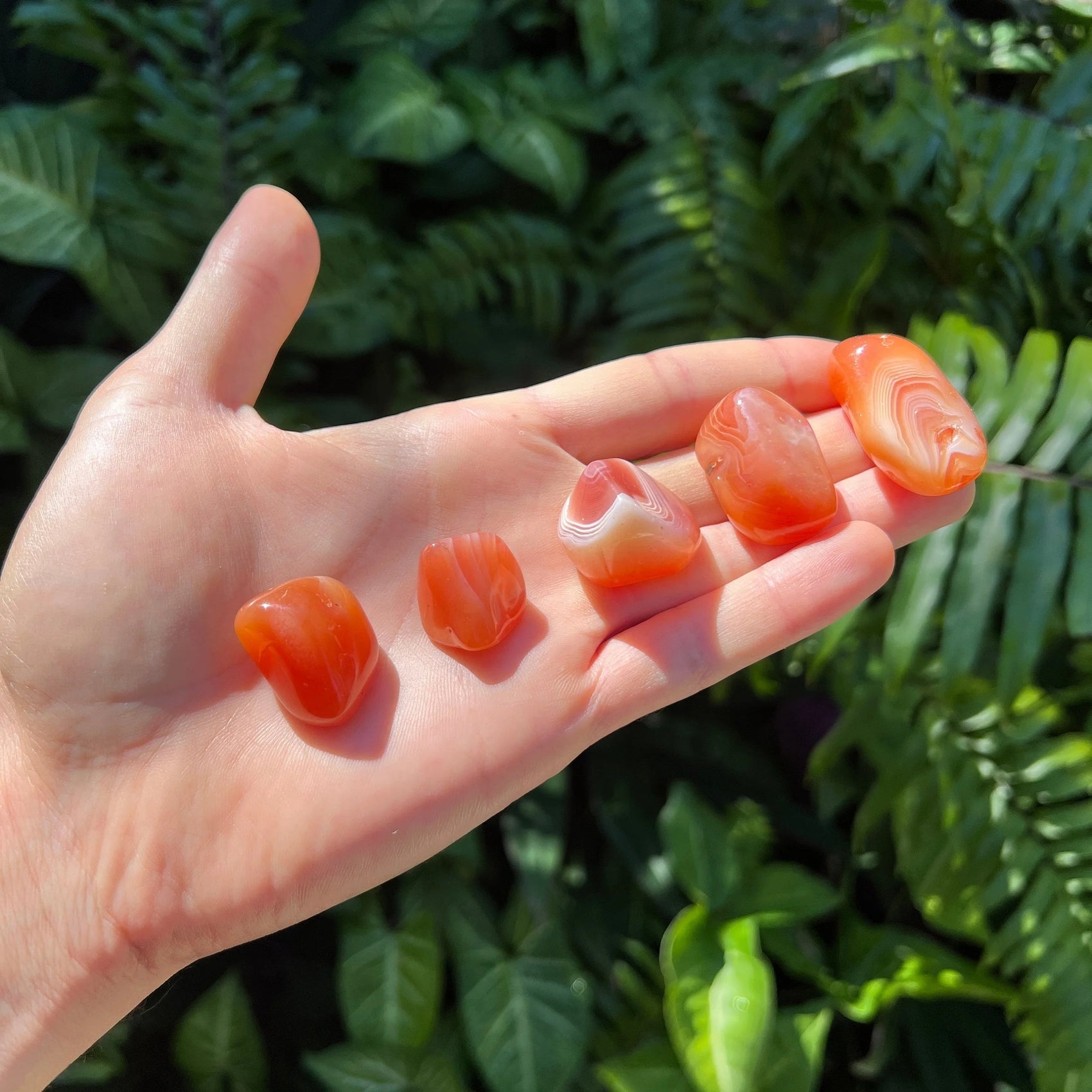 Detail shot of Grade AA Carnelian tumbled stone under natural light